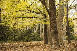 摒除杂念,从容备考 摒除杂念,从容备考