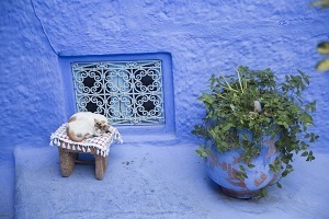 教育部：尽快落实专升本扩招计划，专升本考生要抓紧备考！(图2)