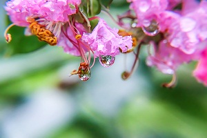 规范答题、保证时间 规范答题、保证时间