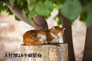 人社部16个新职业 人社部16个新职业