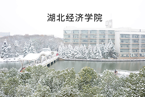 湖北经济学院