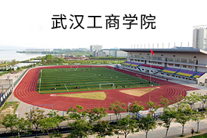 武汉工商学院