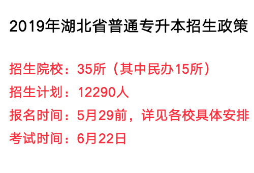 2019普本招生人数