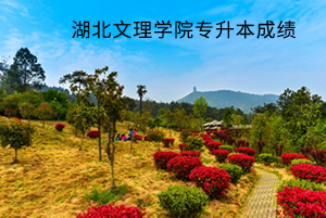 湖北文理学院成绩