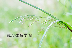武汉体育学院