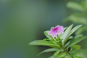 专升本扩招及高校毕业生就业工作通知！教育部最新消息来了！(图2)