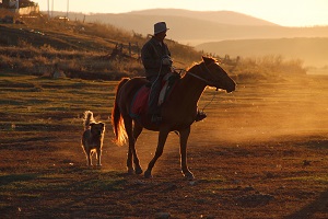 双高计划推行，本科生哭诉：还让不让人找工作了啊(图1)