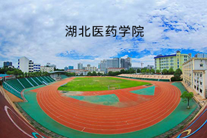 湖北医药学院