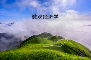 微观经济学 微观经济学