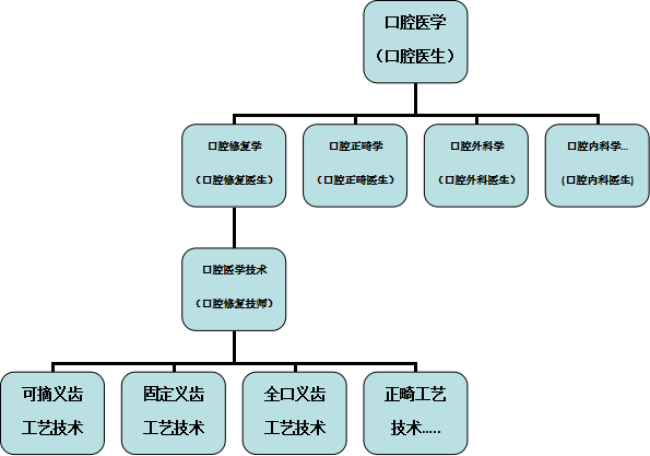 口腔医学技术专业(图1)